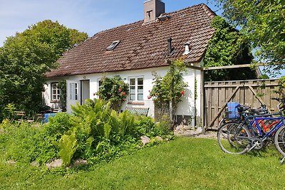 Urgemütliches  Ferienhaus