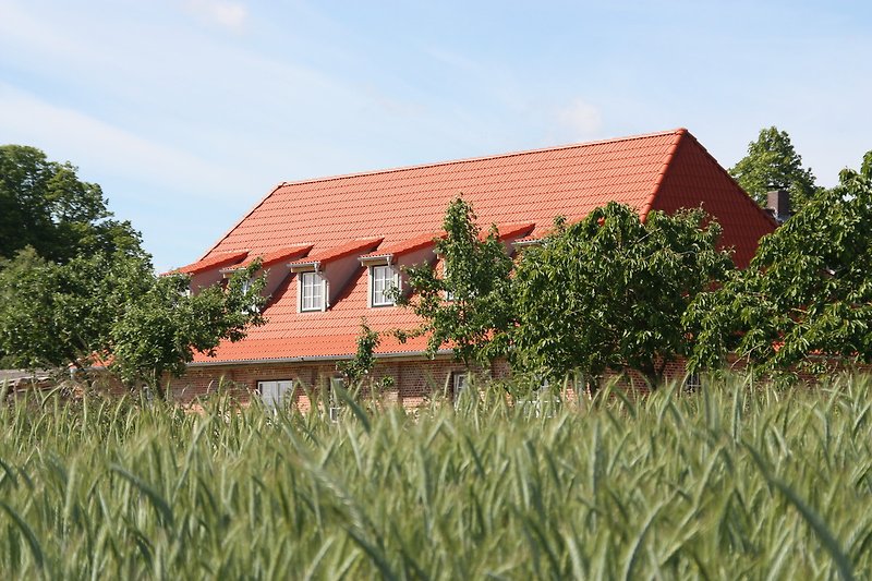 Ländlich gelegenes Ferienhaus, umgeben von Feldern