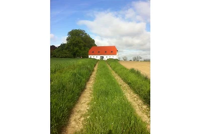 Weitblick - Modellprojekt-Partner