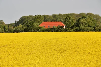 Hygge