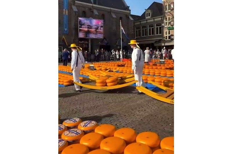 Käsemarkt in Alkmaar, von April bis September