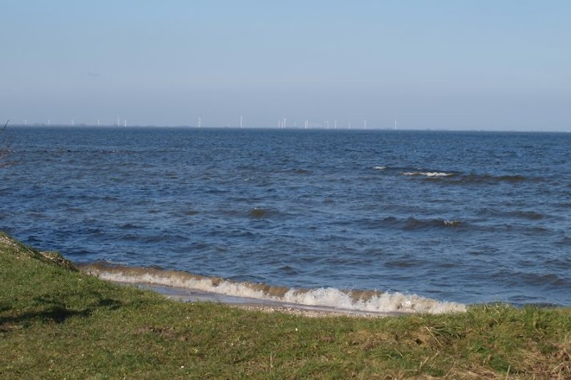 Entlang der grünen Ufer des IJsselmeeres Richtung Medemblik