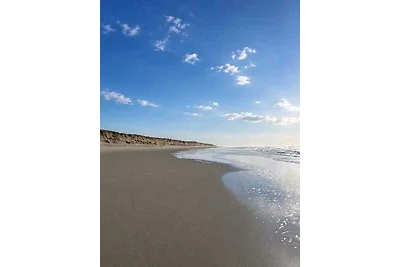 ❤️Huisje Waterlelie in Strandnähe