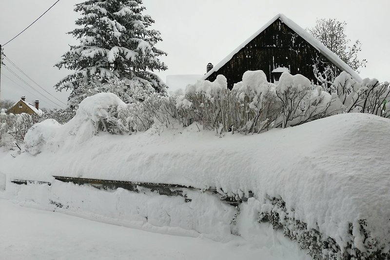 Ein winterliches Bild mit schneebedeckten Bäumen und Meterhohem Schnee.
