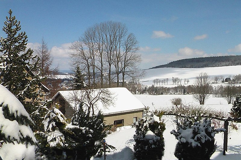 Winterliches Bild mit schneebedeckten Bäumen und charmantem Cottage. Perfekt für Naturliebhaber.