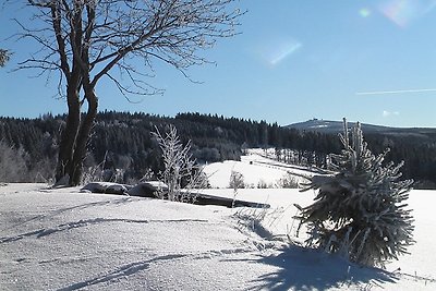 Ferienhaus Erzgebirge Fam. Ziller