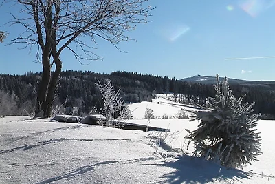 Ferienhaus Erzgebirge Fam. Ziller