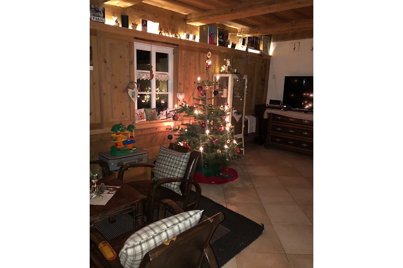 Weihnachten im Katerhaus nie ohne Tannenbaum