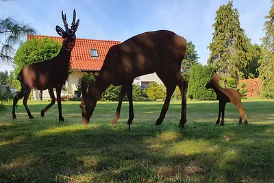 Ferienhaus Fam. Personke