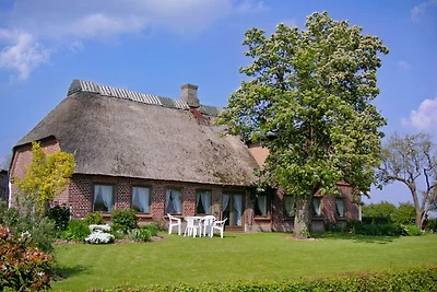 Ferienwohnungen Husfeld