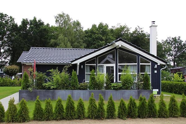 Ferienhaus Dümmer