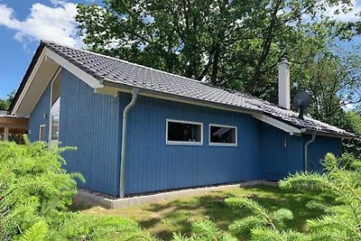 Ferienhaus Seeadler