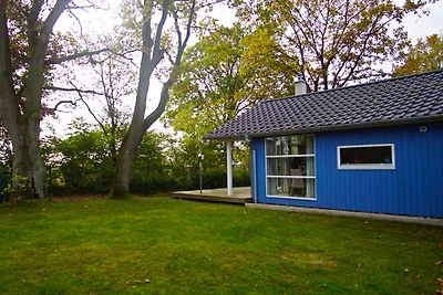 Ferienhaus Seeadler