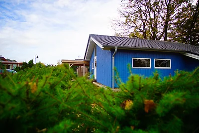 Ferienhaus Seeadler