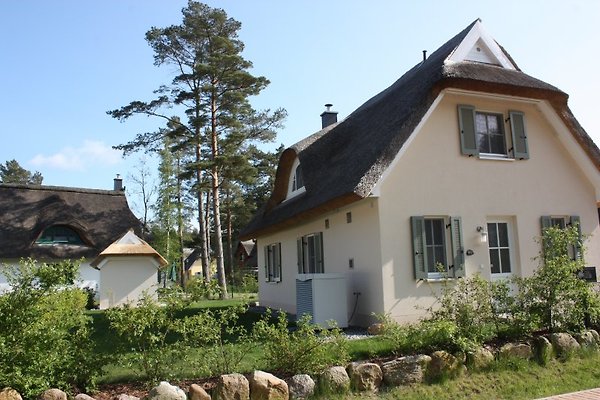 Ferienhaus Glowe