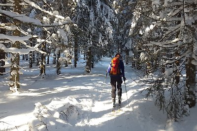 Vakantieappartement Gezinsvakantie Winterberg