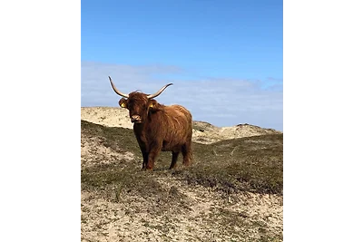 Ferienwohnung De Vrije Vogel 