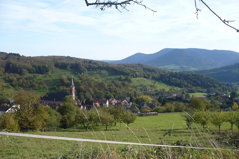 Blick auf Berglandschaft mit grüner Natur und Dorf.