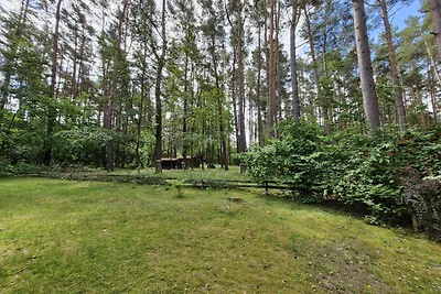Schookerberg - Ferienhaus im Wald