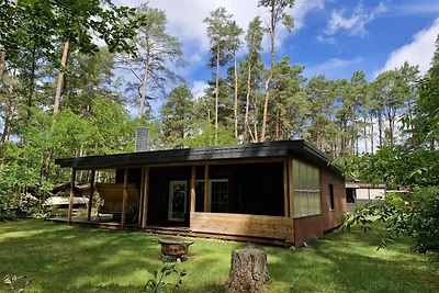 Schookerberg - Ferienhaus im Wald