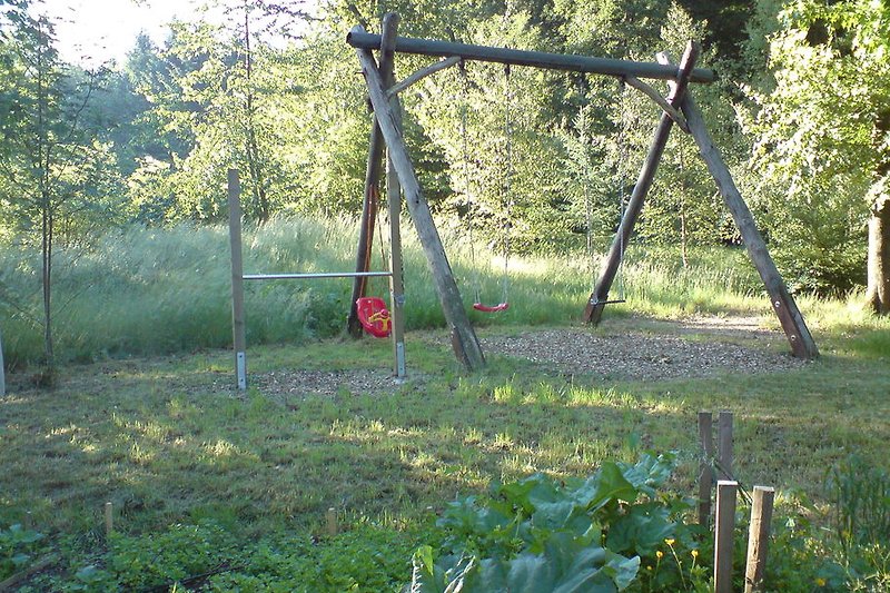 Forest swing