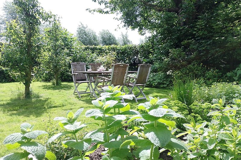 Grüner Garten mit Sträuchern, Pflanzen und Gartenmöbeln.