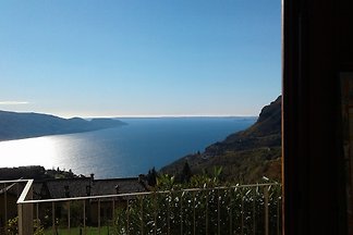 VILLA VIGNE