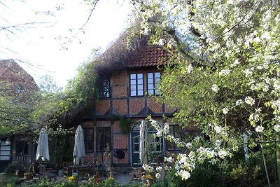 Fattoria a graticcio Gödringen