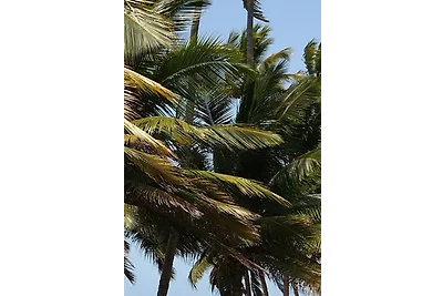 Luxushaus am Meer inkl Cabriolet