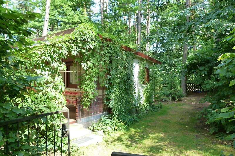 Das Haus liegt unter hohen Kiefern gelegen. Die Terrasse ist von außerhalb des Grundstücks nicht einsehbar.