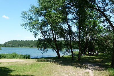 Bungalow für bis zu 3 Personen auf naturbelassenem Waldgrundstück