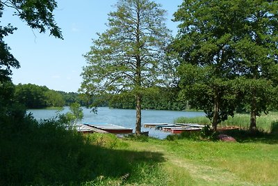 Bungalow für bis zu 3 Personen auf naturbelassenem Waldgrundstück