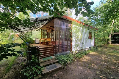Bungalow für bis zu 3 Personen auf naturbelassenem Waldgrundstück