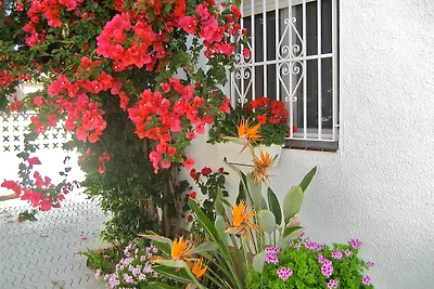 CASA DEL SOL