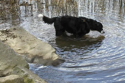Grannelia | Allein am See