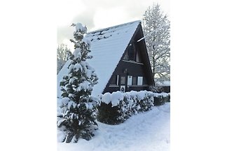 Ferienhaus Wigwam