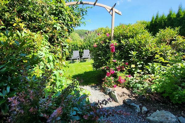 Vakantieappartement Olsberg