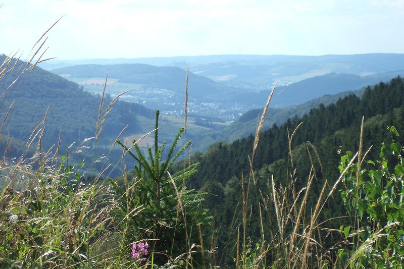 Widok z Ginsterkopf - naszej górskiej siedziby