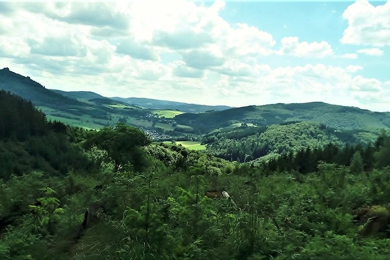 Blick ins Tal bei der Wanderung zum Borberg 