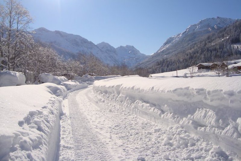 romantico sentiero invernale verso il lago Jägersee