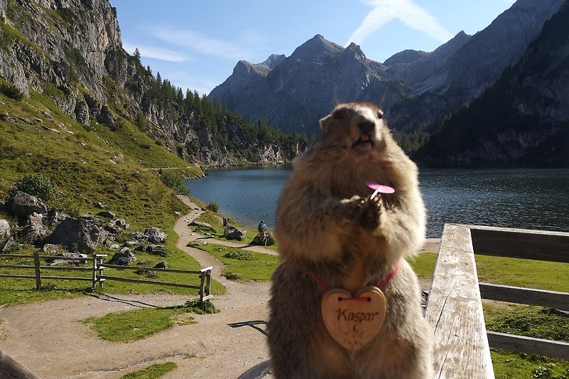 Faszinierende Bergwelt am Tappenkarsee  bei uns in Kleinarl