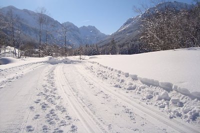 Haus Anita  Ski u. Sportwelt Amade