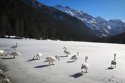 Haus Rosi -Sonne, Seen und Berge