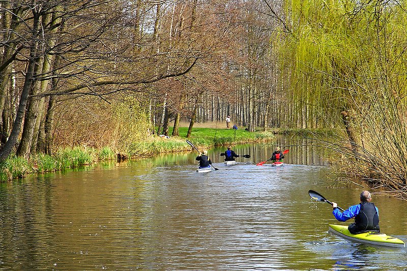 Paseos en canoa