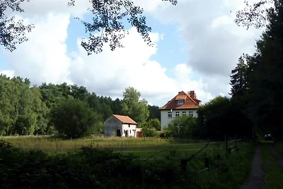 Villa vicino ai cavalli vicino a Berlino