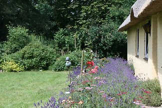 Friesenhaus Ferien Urlaub mit Hund