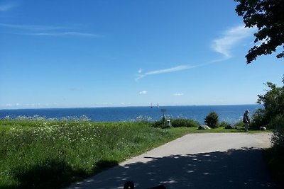 Ostsee Hundeurlaub  Sonnenschmiede