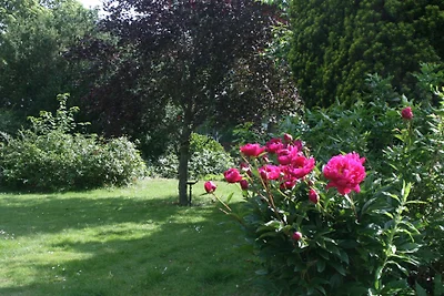 Casa vacanza Sternenwiese Hundeurlaub