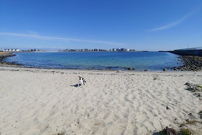Lungomare ORO,  Penthouse mit Hund