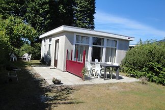Renesse Horizon 25 Hond toegestaan